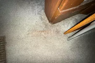 316 W Henry St, Pontiac, IL 61764 - Photo 26