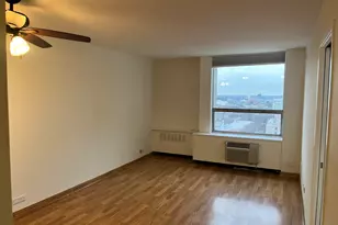 1355 N Sandburg Terrace, Chicago, IL 60610 - Photo 4