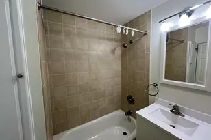 1355 N Sandburg Terrace, Chicago, IL 60610 - Photo 8