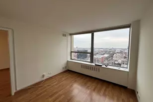 1355 N Sandburg Terrace, Chicago, IL 60610 - Photo 10