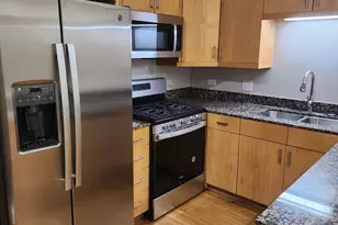 4941 S Michigan Ave, Chicago, IL 60615 - Photo 10