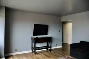 7337 S South Shore Dr, Chicago, IL 60649 - Photo 8