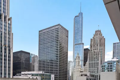 [Address not provided], Chicago, IL 60611 - Photo 20