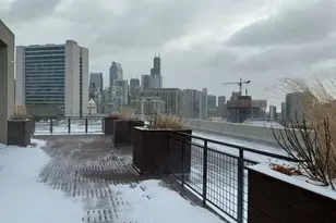 900 N Kingsbury, Chicago, IL 60610 - Photo 24