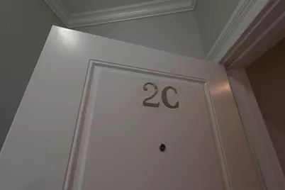 520 N Western Avenue #2C, Chicago, IL 60612 - Photo 26