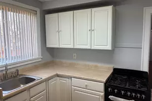 10904 S Ave D Ave, Chicago, IL 60617 - Photo 10