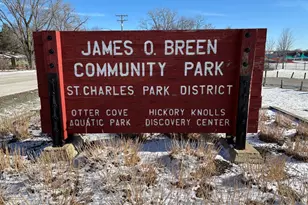 3386 St Michel Ct, Saint Charles, IL 60175 - Photo 42