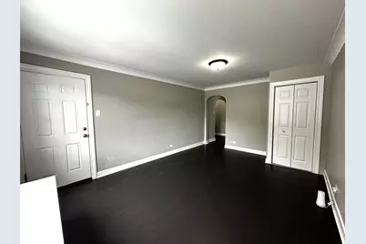 6549 S Keeler Avenue, Chicago, IL 60629 - Photo 10