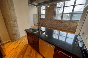 1735 N Paulina St, Chicago, IL 60622 - Photo 8