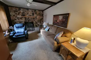 408 E 4th St, Spring Valley, IL 61362 - Photo 18