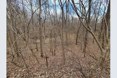 408 E 4th Street, Spring Valley, IL 61362 - Photo 28