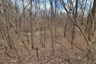 408 E 4th St, Spring Valley, IL 61362 - Photo 28