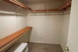 175 E Delaware Pl, Chicago, IL 60611 - Photo 12