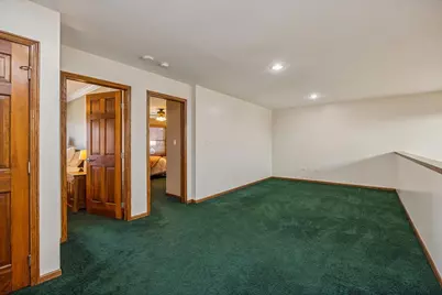 21726 Higley Lane, Frankfort, IL 60423 - Photo 16