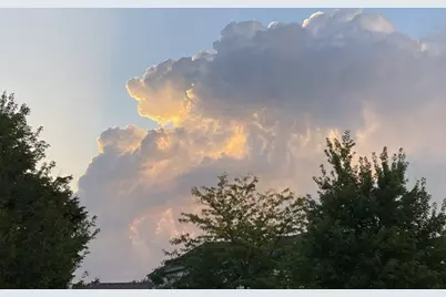 611 Paris Avenue, Oswego, IL 60543 - Photo 38