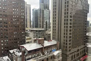 50 E Bellevue Pl, Chicago, IL 60611 - Photo 4