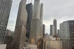 50 E Bellevue Pl, Chicago, IL 60611 - Photo 6