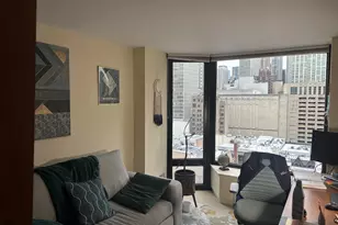 50 E Bellevue Pl, Chicago, IL 60611 - Photo 16