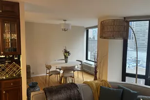 50 E Bellevue Pl, Chicago, IL 60611 - Photo 4