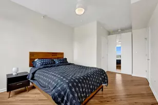 1717 S Prairie Ave, Chicago, IL 60616 - Photo 12