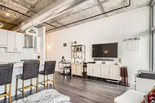 50 E 16th St, Chicago, IL 60616 - Photo 10