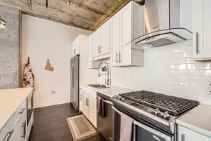 50 E 16th St, Chicago, IL 60616 - Photo 14