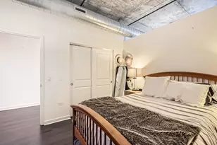 50 E 16th St, Chicago, IL 60616 - Photo 18