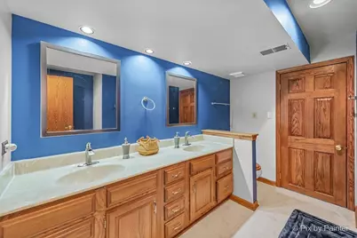 390 S Garden Avenue, Roselle, IL 60172 - Photo 26