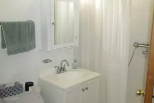 4325 W 99th Pl, Oak Lawn, IL 60453 - Photo 16