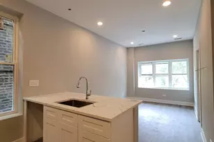 1319 W Cullerton St, Chicago, IL 60608 - Photo 2