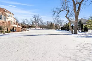 26 Meadow Rd, Palos Park, IL 60464 - Photo 14