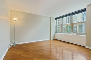 [Address not provided], Chicago, IL 60611 - Photo 6