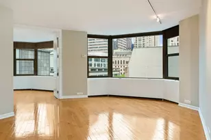 [Address not provided], Chicago, IL 60611 - Photo 4