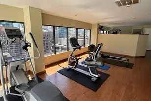 230 E Ontario St, Chicago, IL 60611 - Photo 14