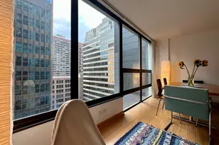 230 E Ontario St, Chicago, IL 60611 - Photo 8