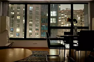 230 E Ontario St, Chicago, IL 60611 - Photo 12