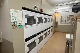 230 E Ontario St, Chicago, IL 60611 - Photo 12