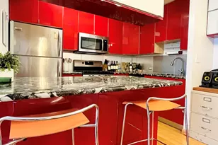 230 E Ontario St, Chicago, IL 60611 - Photo 4