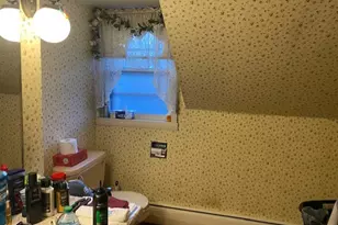 215 W Devlin St, Spring Valley, IL 61362 - Photo 10