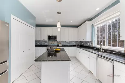 371 Sycamore Street, Vernon Hills, IL 60061 - Photo 10