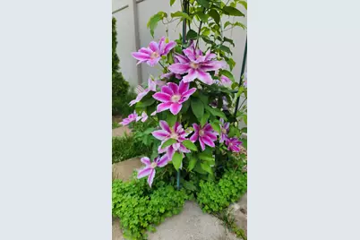 1770 W Windmill Court, Addison, IL 60101 - Photo 50