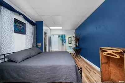 309 Main Street, Savanna, IL 61074 - Photo 28