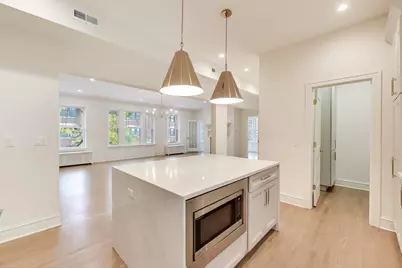 1201 E Madison Park Drive #3, Chicago, IL 60615 - Photo 8