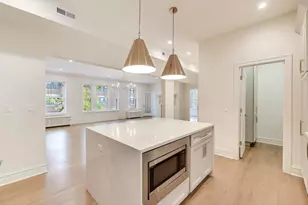 1201 E Madison Park Dr, Chicago, IL 60615 - Photo 8