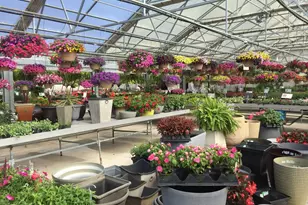 14132 Church Rd, Minooka, IL 60447 - Photo 8