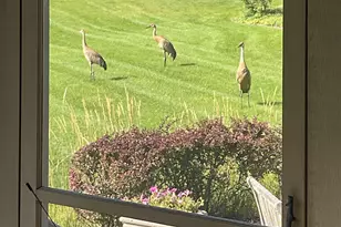 1030 Ridgeview Dr, Inverness, IL 60010 - Photo 26