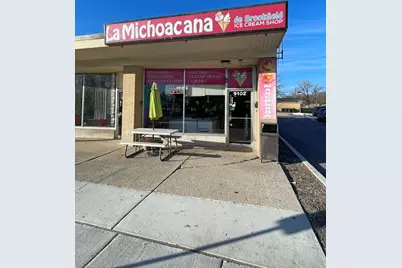 4341 Madison Avenue, Brookfield, IL 60513 - Photo 28