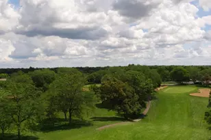 299 Mallard Point Point, Lake Barrington, IL 60010 - Photo 30