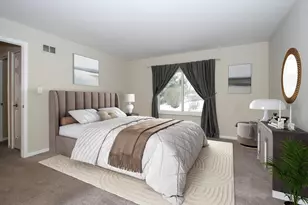 299 Mallard Point Point, Lake Barrington, IL 60010 - Photo 10