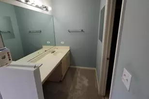 237 Camel Bend Ct, Schaumburg, IL 60194 - Photo 10